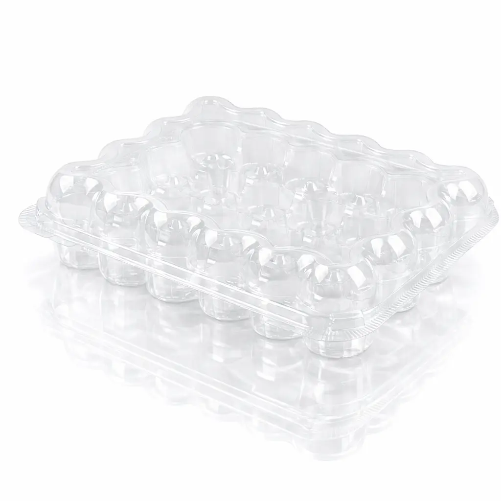 24-Count Mini Cupcake Container Empty Closed View