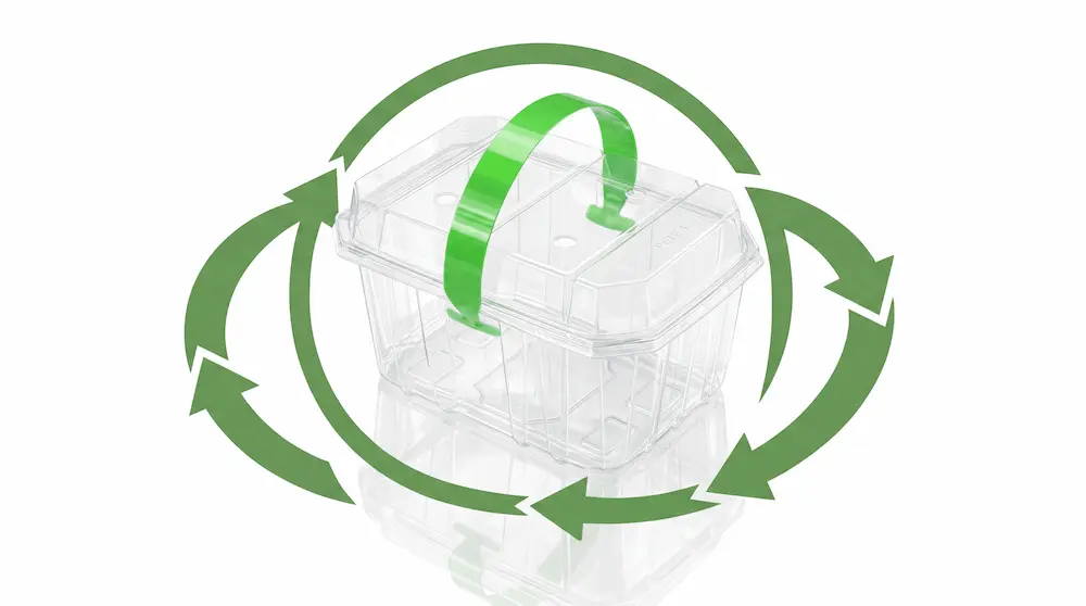 Recyclable concept image of 2LB Vented Berry Clamshell Container with green handle