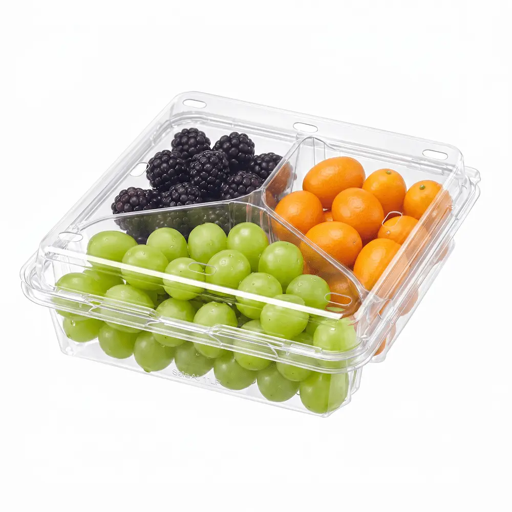 3-compartment-pet-clamshell-container-blackberry-kumquat-green-grape 3 Compartment PET Clamshell Container with blackberries, kumquats, and green grapes