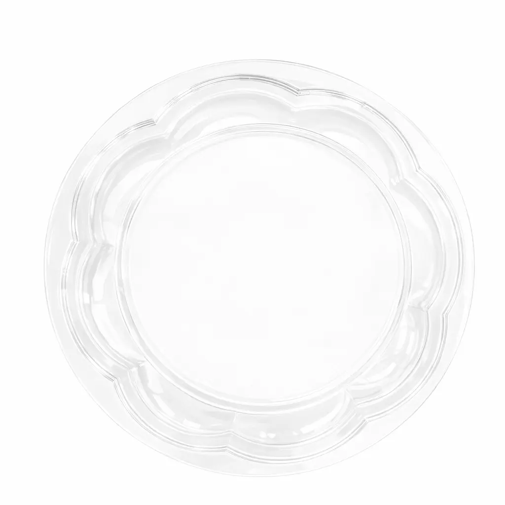 Large Universal Lid Top View Image