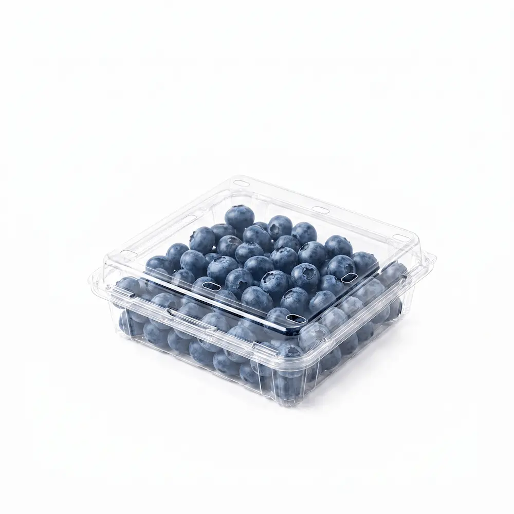 Clear PET Hinged Clamshell Container for blueberry packaging