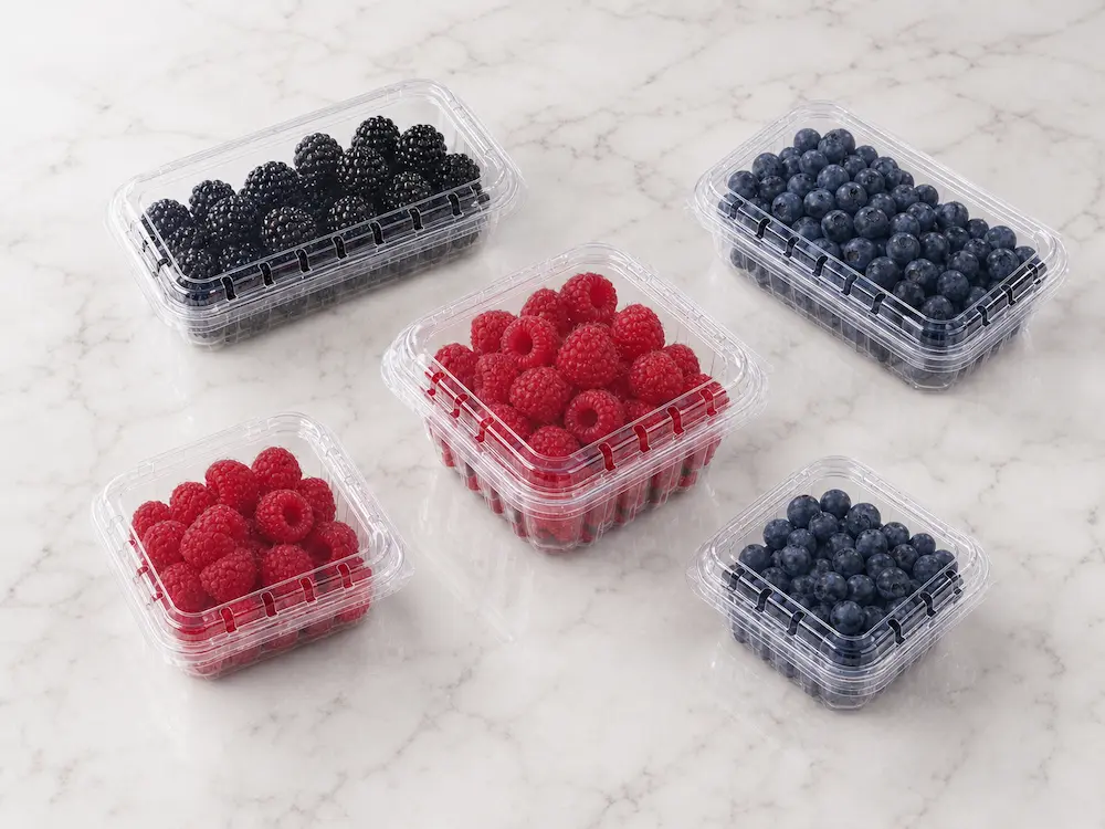 Clear PET berry clamshell containers filled with blackberries, blueberries, and raspberries.