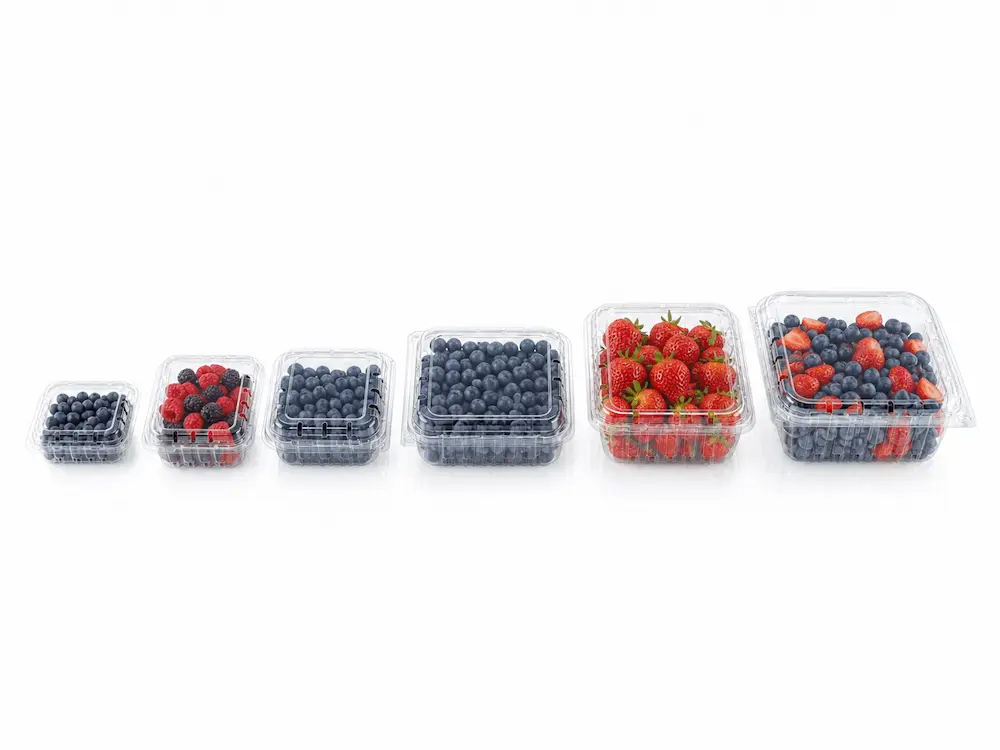 Complete Guide to Berry Clamshell Packaging for Blueberries, Blackberries, and Raspberries 5 Different sizes of clear PET berry clamshells for blueberries, strawberries, and mixed berries