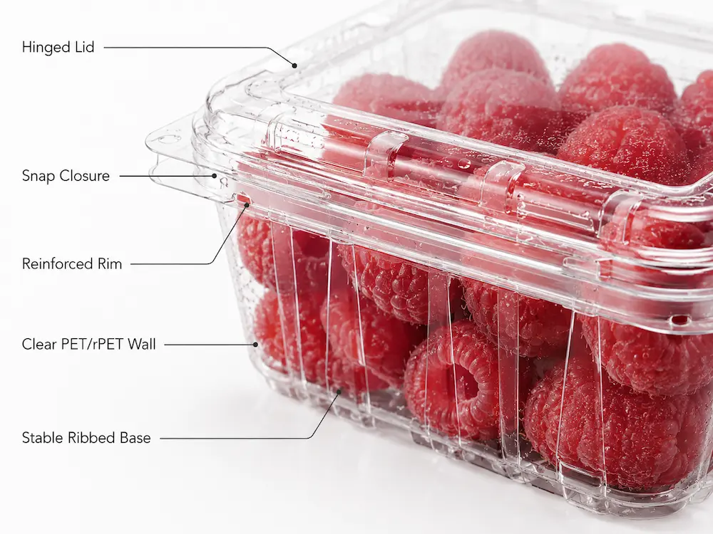 Raspberry Packaging Containers vs Alternative Packaging: How Buyers Should Choose 1 Close-up of a clear PET raspberry container with hinged lid, snap closure, reinforced rim, and ribbed base