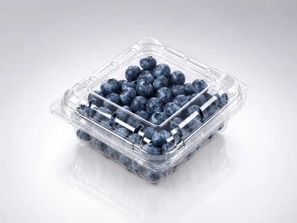 Clear clamshell packaging container for blueberries with transparent hinged lid