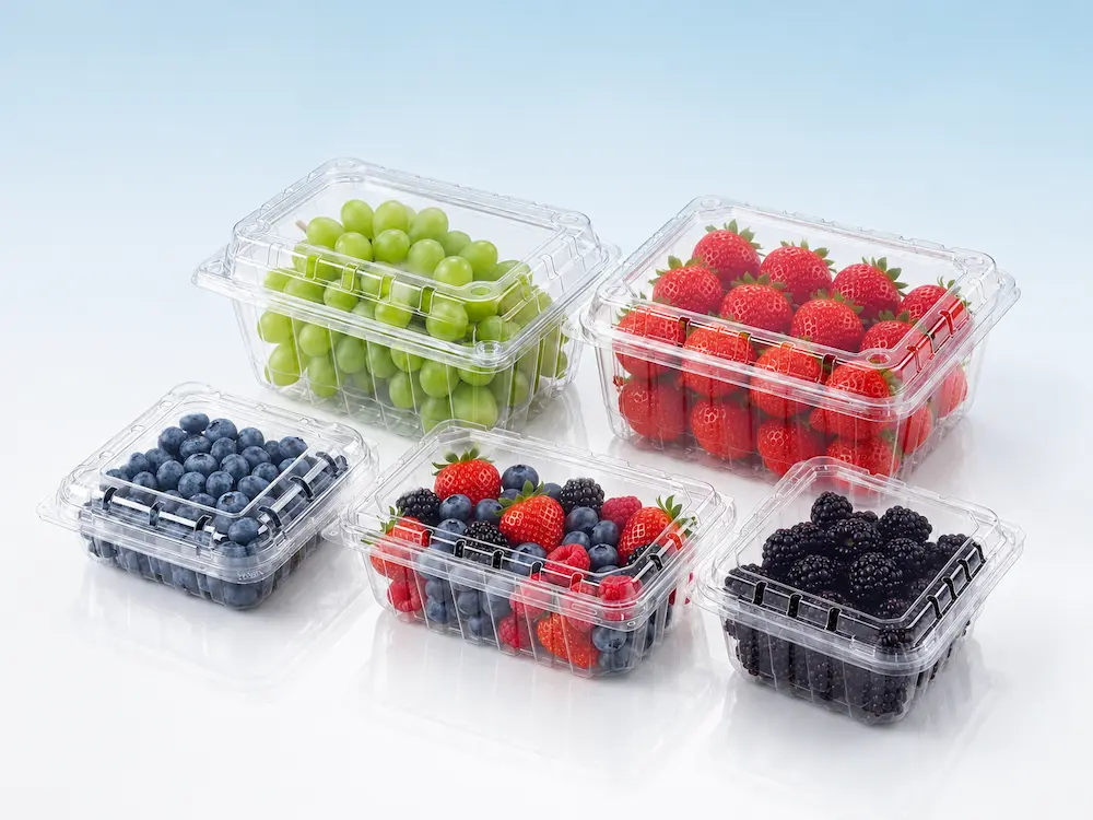 Clear PET clamshell fruit containers for berries, grapes, strawberries, blueberries and blackberries