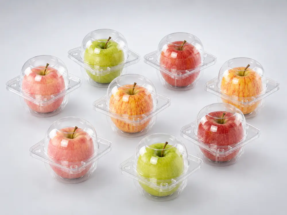 Clear PET single-apple clamshell packaging with red, green, and yellow apples in a premium cool gray studio composition
